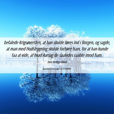 Picture 06 - Apostlenes Gerninger 22:24 DA1871 - befalede Krigsøversten, at han skulde føres ind - Bible Verse Picture