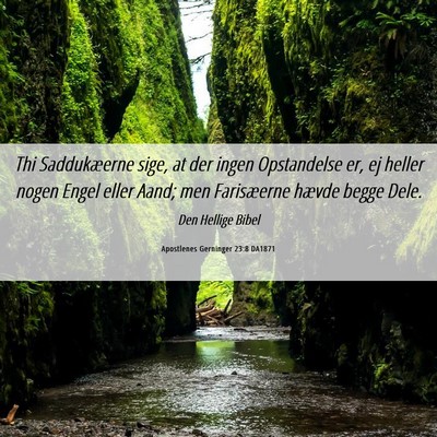 Picture 06 - Apostlenes Gerninger 23:8 DA1871 - Thi Saddukæerne sige, at der ingen Opstandelse - Bible Verse Picture