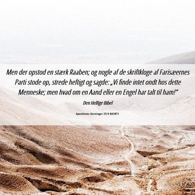 Picture 06 - Apostlenes Gerninger 23:9 DA1871 - Men der opstod en stærk Raaben; og nogle af de - Bible Verse Picture