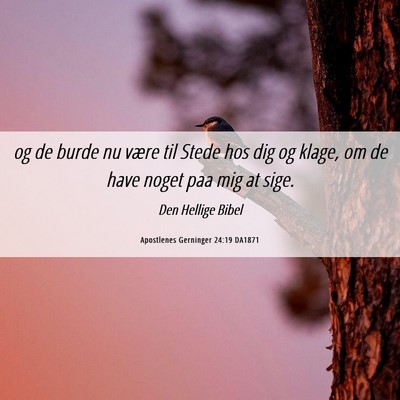 Picture 06 - Apostlenes Gerninger 24:19 DA1871 - og de burde nu være til Stede hos dig og klage, - Bible Verse Picture