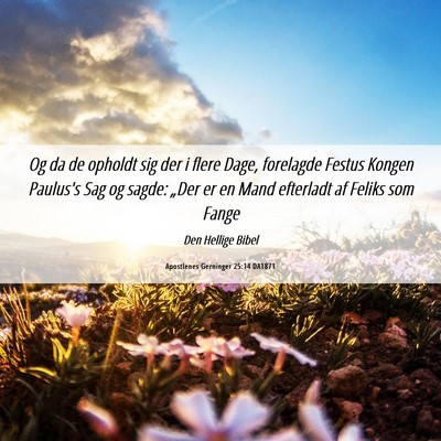 Picture 06 - Apostlenes Gerninger 25:14 DA1871 - Og da de opholdt sig der i flere Dage, forelagde - Bible Verse Picture
