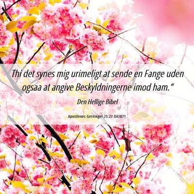 Picture 06 - Apostlenes Gerninger 25:27 DA1871 - Thi det synes mig urimeligt at sende en Fange - Bible Verse Picture