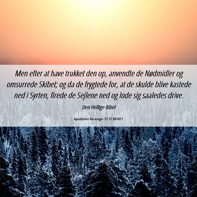 Picture 06 - Apostlenes Gerninger 27:17 DA1871 - Men efter at have trukket den op, anvendte de - Bible Verse Picture