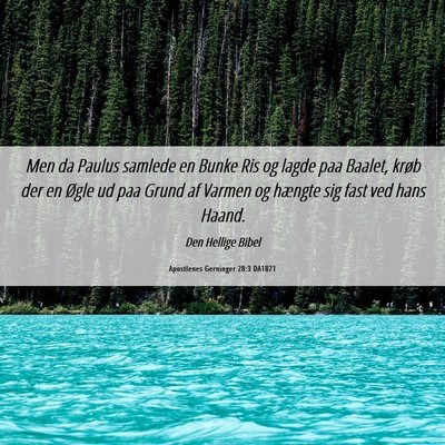 Picture 06 - Apostlenes Gerninger 28:3 DA1871 - Men da Paulus samlede en Bunke Ris og lagde paa - Bible Verse Picture