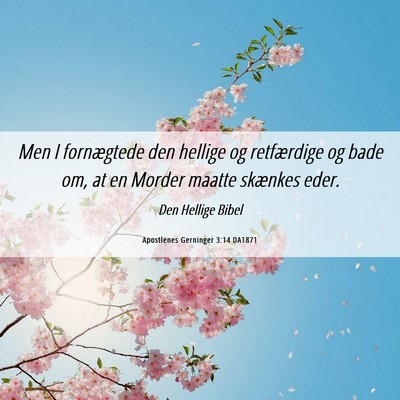 Picture 06 - Apostlenes Gerninger 3:14 DA1871 - Men I fornægtede den hellige og retfærdige og - Bible Verse Picture
