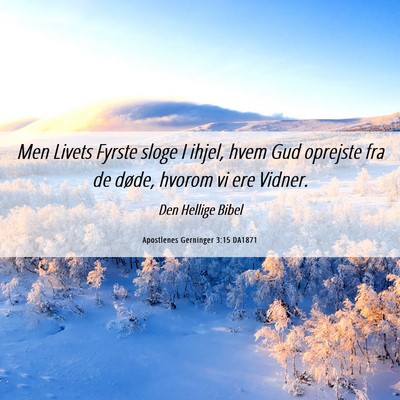 Picture 06 - Apostlenes Gerninger 3:15 DA1871 - Men Livets Fyrste sloge I ihjel, hvem Gud - Bible Verse Picture
