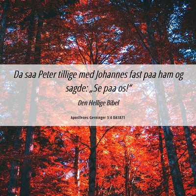 Picture 06 - Apostlenes Gerninger 3:4 DA1871 - Da saa Peter tillige med Johannes fast paa ham og - Bible Verse Picture