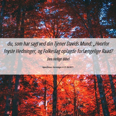Picture 06 - Apostlenes Gerninger 4:25 DA1871 - du, som har sagt ved din Tjener Davids Mund: - Bible Verse Picture