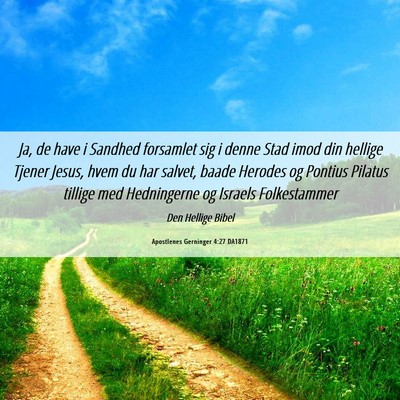 Picture 06 - Apostlenes Gerninger 4:27 DA1871 - Ja, de have i Sandhed forsamlet sig i denne Stad - Bible Verse Picture