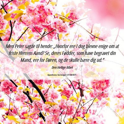 Picture 06 - Apostlenes Gerninger 5:9 DA1871 - Men Peter sagde til hende: „Hvorfor ere I dog - Bible Verse Picture