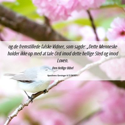 Picture 06 - Apostlenes Gerninger 6:13 DA1871 - og de fremstillede falske Vidner, som sagde: - Bible Verse Picture