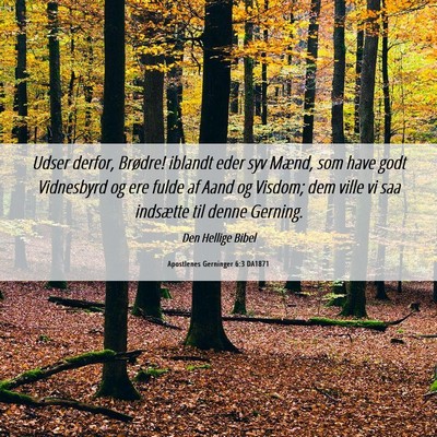 Picture 06 - Apostlenes Gerninger 6:3 DA1871 - Udser derfor, Brødre! iblandt eder syv Mænd, - Bible Verse Picture