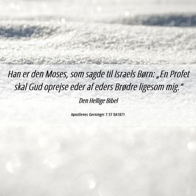 Picture 06 - Apostlenes Gerninger 7:37 DA1871 - Han er den Moses, som sagde til Israels Børn: - Bible Verse Picture