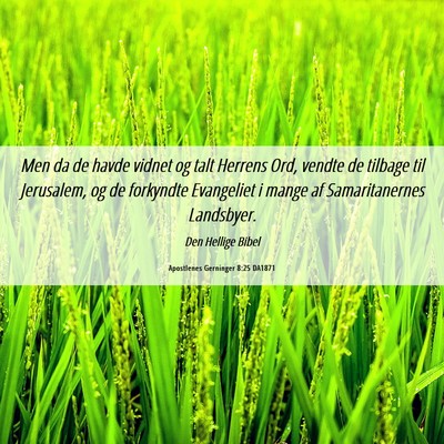 Picture 06 - Apostlenes Gerninger 8:25 DA1871 - Men da de havde vidnet og talt Herrens Ord, - Bible Verse Picture