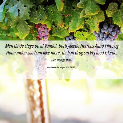 Picture 06 - Apostlenes Gerninger 8:39 DA1871 - Men da de stege op af Vandet, bortrykkede Herrens - Bible Verse Picture