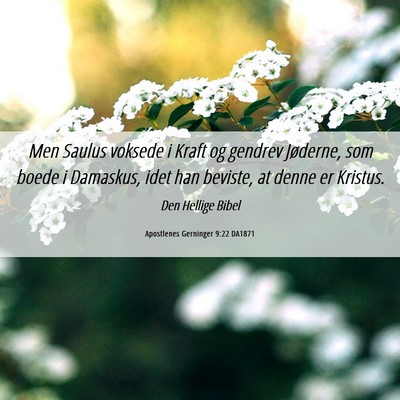 Picture 06 - Apostlenes Gerninger 9:22 DA1871 - Men Saulus voksede i Kraft og gendrev Jøderne, - Bible Verse Picture