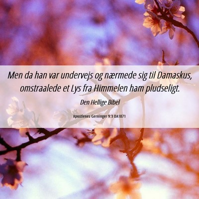 Picture 06 - Apostlenes Gerninger 9:3 DA1871 - Men da han var undervejs og nærmede sig til - Bible Verse Picture