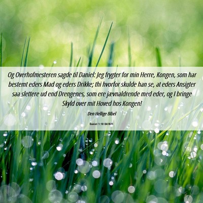 Picture 06 - Daniel 1:10 DA1871 - Og Overhofmesteren sagde til Daniel: Jeg frygter - Bible Verse Picture