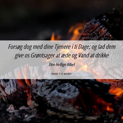 Picture 06 - Daniel 1:12 DA1871 - Forsøg dog med dine Tjenere i ti Dage; og lad - Bible Verse Picture