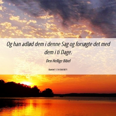 Picture 06 - Daniel 1:14 DA1871 - Og han adlød dem i denne Sag og forsøgte det - Bible Verse Picture