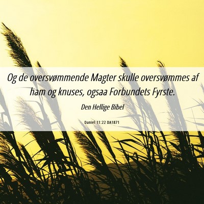 Picture 06 - Daniel 11:22 DA1871 - Og de oversvømmende Magter skulle oversvømmes - Bible Verse Picture