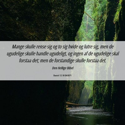 Picture 06 - Daniel 12:10 DA1871 - Mange skulle rense sig og to sig hvide og lutre - Bible Verse Picture