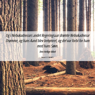 Picture 06 - Daniel 2:1 DA1871 - Og i Nebukadnezars andet Regeringsaar drømte - Bible Verse Picture
