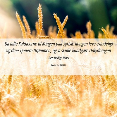 Picture 06 - Daniel 2:4 DA1871 - Da talte Kaldæerne til Kongen paa Syrisk: Kongen - Bible Verse Picture