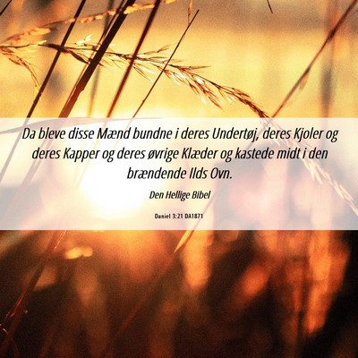 Picture 06 - Daniel 3:21 DA1871 - Da bleve disse Mænd bundne i deres Undertøj, - Bible Verse Picture