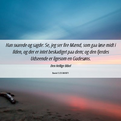 Picture 06 - Daniel 3:25 DA1871 - Han svarede og sagde: Se, jeg ser fire Mænd, som - Bible Verse Picture