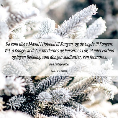 Picture 06 - Daniel 6:16 DA1871 - Da kom disse Mænd i Hobetal til Kongen, og de - Bible Verse Picture