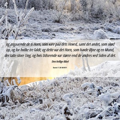 Picture 06 - Daniel 7:20 DA1871 - og angaaende de ti Horn, som vare paa dets Hoved, - Bible Verse Picture