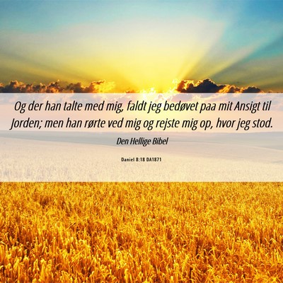 Picture 06 - Daniel 8:18 DA1871 - Og der han talte med mig, faldt jeg bedøvet paa - Bible Verse Picture