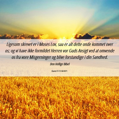 Picture 06 - Daniel 9:13 DA1871 - Ligesom skrevet er i Moses Lov, saa er alt dette - Bible Verse Picture