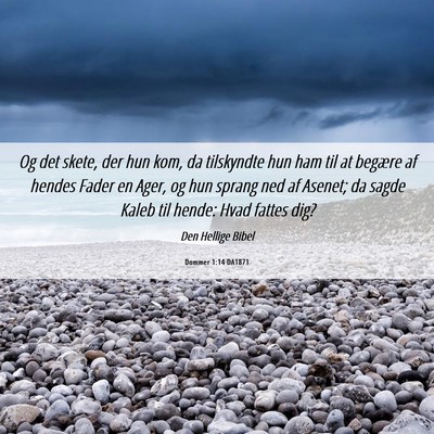 Picture 06 - Dommer 1:14 DA1871 - Og det skete, der hun kom, da tilskyndte hun ham - Bible Verse Picture