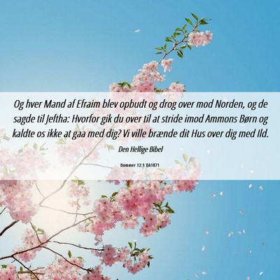 Picture 06 - Dommer 12:1 DA1871 - Og hver Mand af Efraim blev opbudt og drog over - Bible Verse Picture