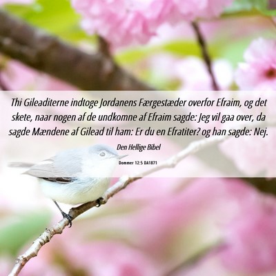 Picture 06 - Dommer 12:5 DA1871 - Thi Gileaditerne indtoge Jordanens Færgestæder - Bible Verse Picture