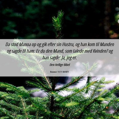 Picture 06 - Dommer 13:11 DA1871 - Da stod Manoa op og gik efter sin Hustru, og han - Bible Verse Picture