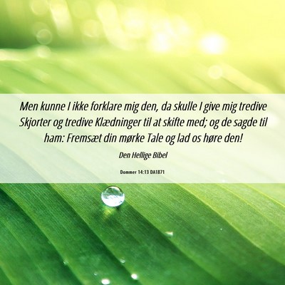 Picture 06 - Dommer 14:13 DA1871 - Men kunne I ikke forklare mig den, da skulle I - Bible Verse Picture
