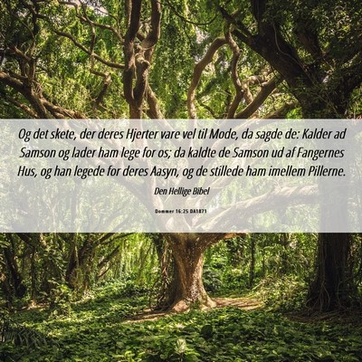 Picture 06 - Dommer 16:25 DA1871 - Og det skete, der deres Hjerter vare vel til - Bible Verse Picture