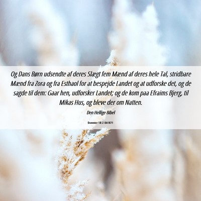 Picture 06 - Dommer 18:2 DA1871 - Og Dans Børn udsendte af deres Slægt fem Mænd - Bible Verse Picture