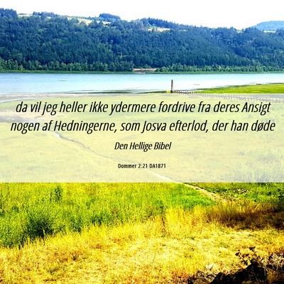 Picture 06 - Dommer 2:21 DA1871 - da vil jeg heller ikke ydermere fordrive fra - Bible Verse Picture