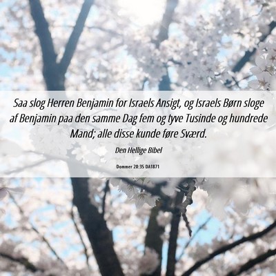 Picture 06 - Dommer 20:35 DA1871 - Saa slog Herren Benjamin for Israels Ansigt, og - Bible Verse Picture