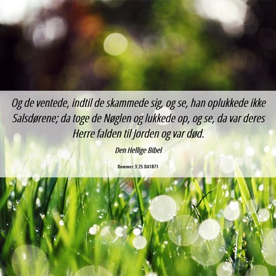 Picture 06 - Dommer 3:25 DA1871 - Og de ventede, indtil de skammede sig, og se, han - Bible Verse Picture