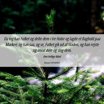 Picture 06 - Dommer 9:43 DA1871 - Da tog han Folket og delte dem i tre Hobe og - Bible Verse Picture