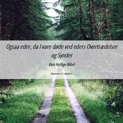 Picture 06 - Efeserne 2:1 DA1871 - Ogsaa eder, da I vare døde ved eders - Bible Verse Picture