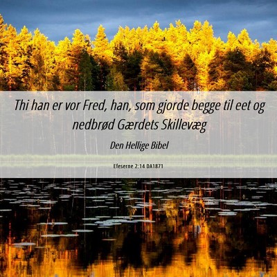 Picture 06 - Efeserne 2:14 DA1871 - Thi han er vor Fred, han, som gjorde begge til - Bible Verse Picture