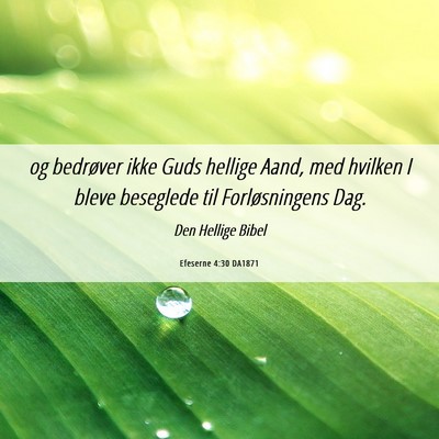 Picture 06 - Efeserne 4:30 DA1871 - og bedrøver ikke Guds hellige Aand, med hvilken - Bible Verse Picture