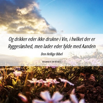 Picture 06 - Efeserne 5:18 DA1871 - Og drikker eder ikke drukne i Vin, i hvilket der - Bible Verse Picture
