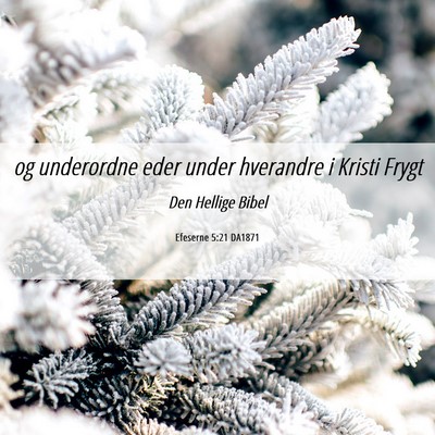 Picture 06 - Efeserne 5:21 DA1871 - og underordne eder under hverandre i Kristi - Bible Verse Picture